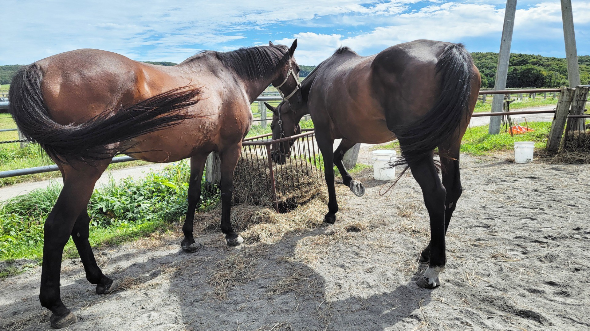 d6ae272aef01c3ddd25c71e54d70cda7-1760934029.jpg d6ae272aef01c3ddd25c71e54d70cda7-1760934029.jpg